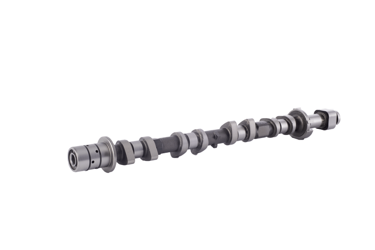 Engine_Camshaft