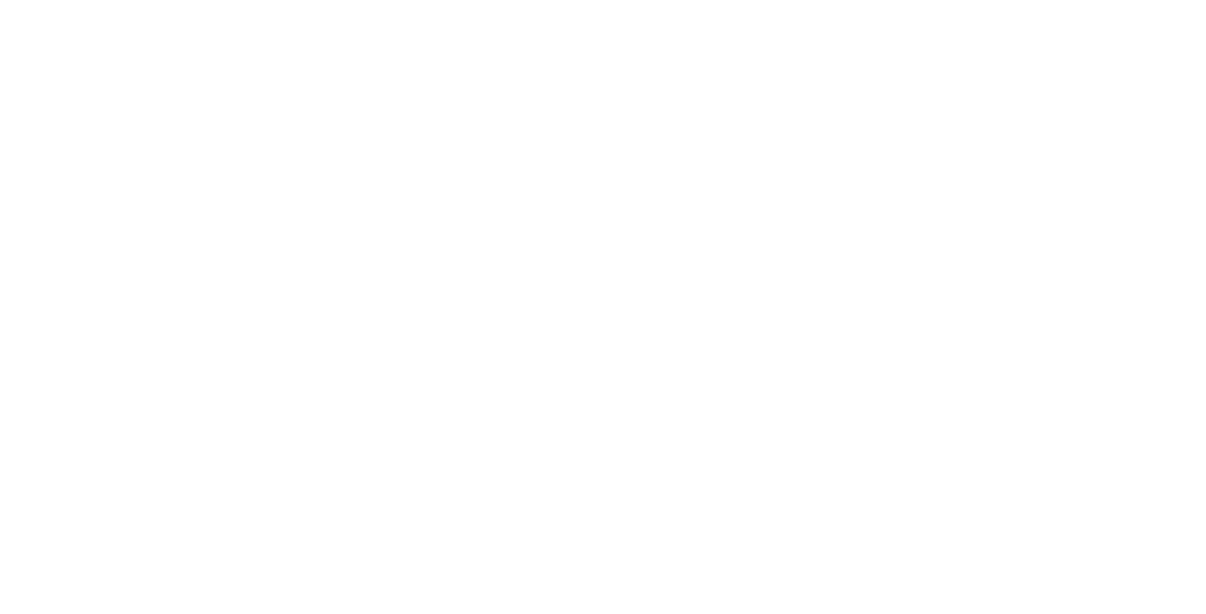 Our Company Our Company