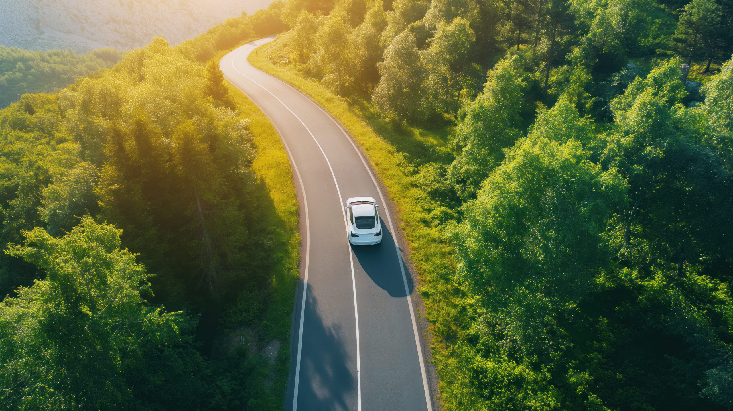 A white car driving on a winding road surrounded by dense green forest under warm sunlight.