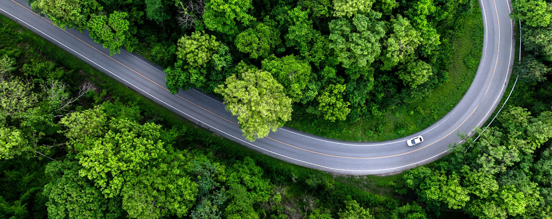 Aerial view of a winding road curving through a dense, green forest.
