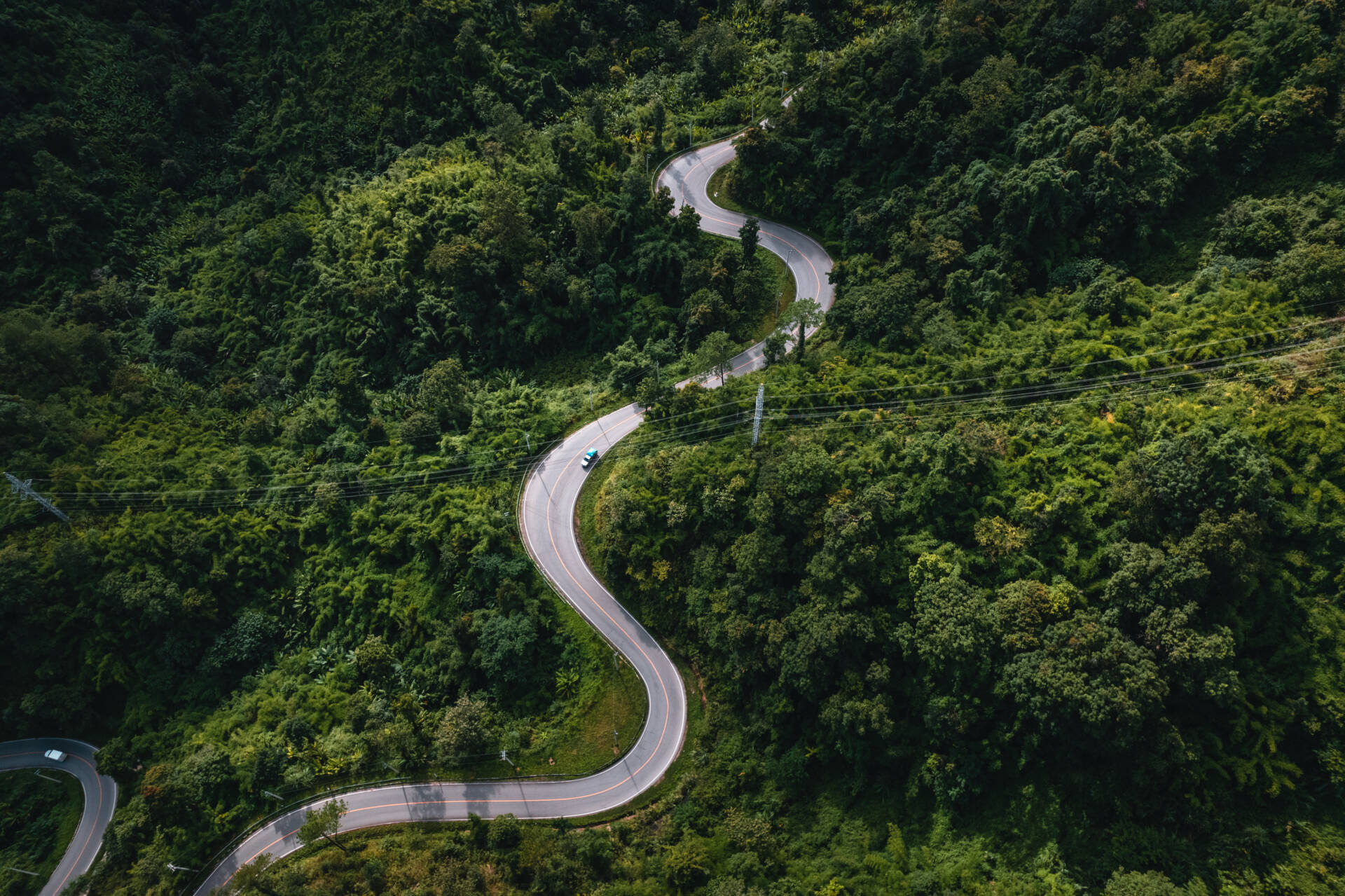 A winding road cutting through dense, green forested hills under natural daylight.