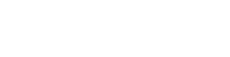 Link Icon