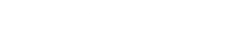 Link Icon