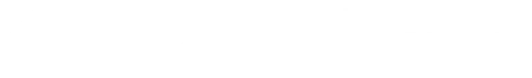 Link Icon