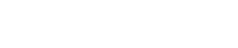 Link Icon