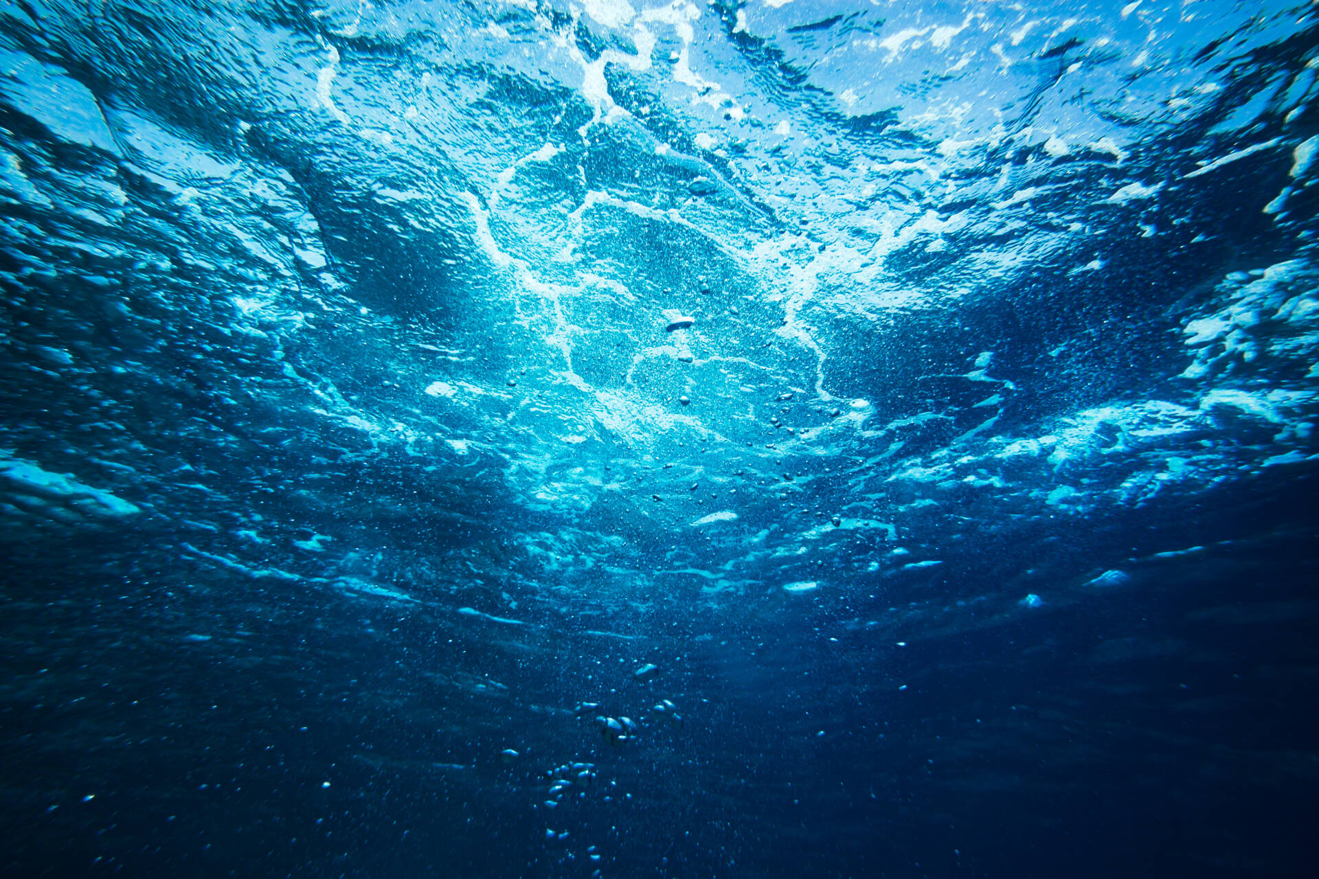 Underwater view showing sunlight filtering through the rippling ocean surface with bubbles rising.