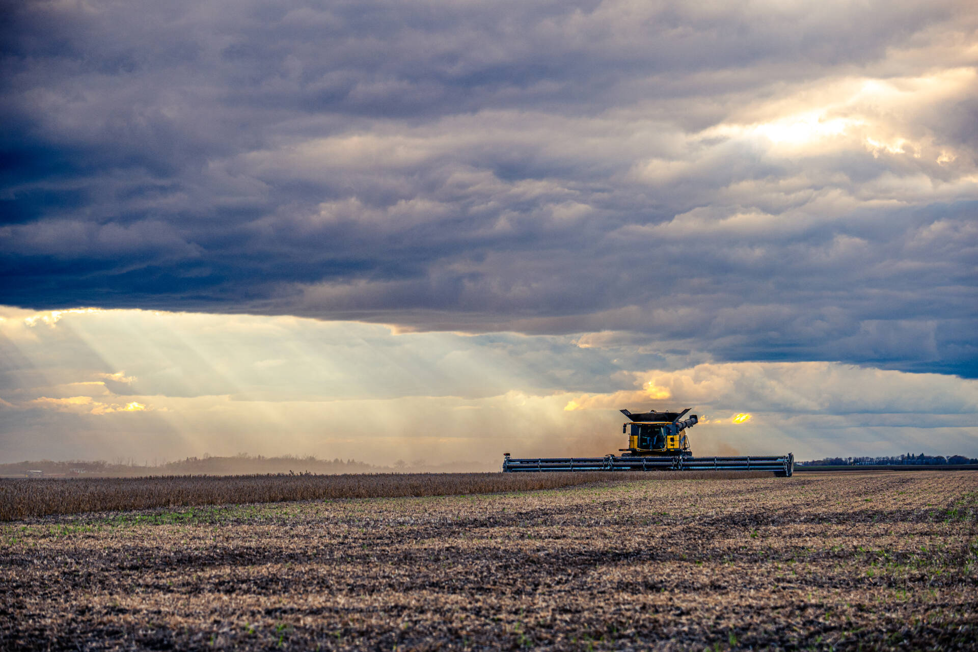 Combine harvester working on a vast field under a dramatic cloudy sky with rays of sunlight breaking through.