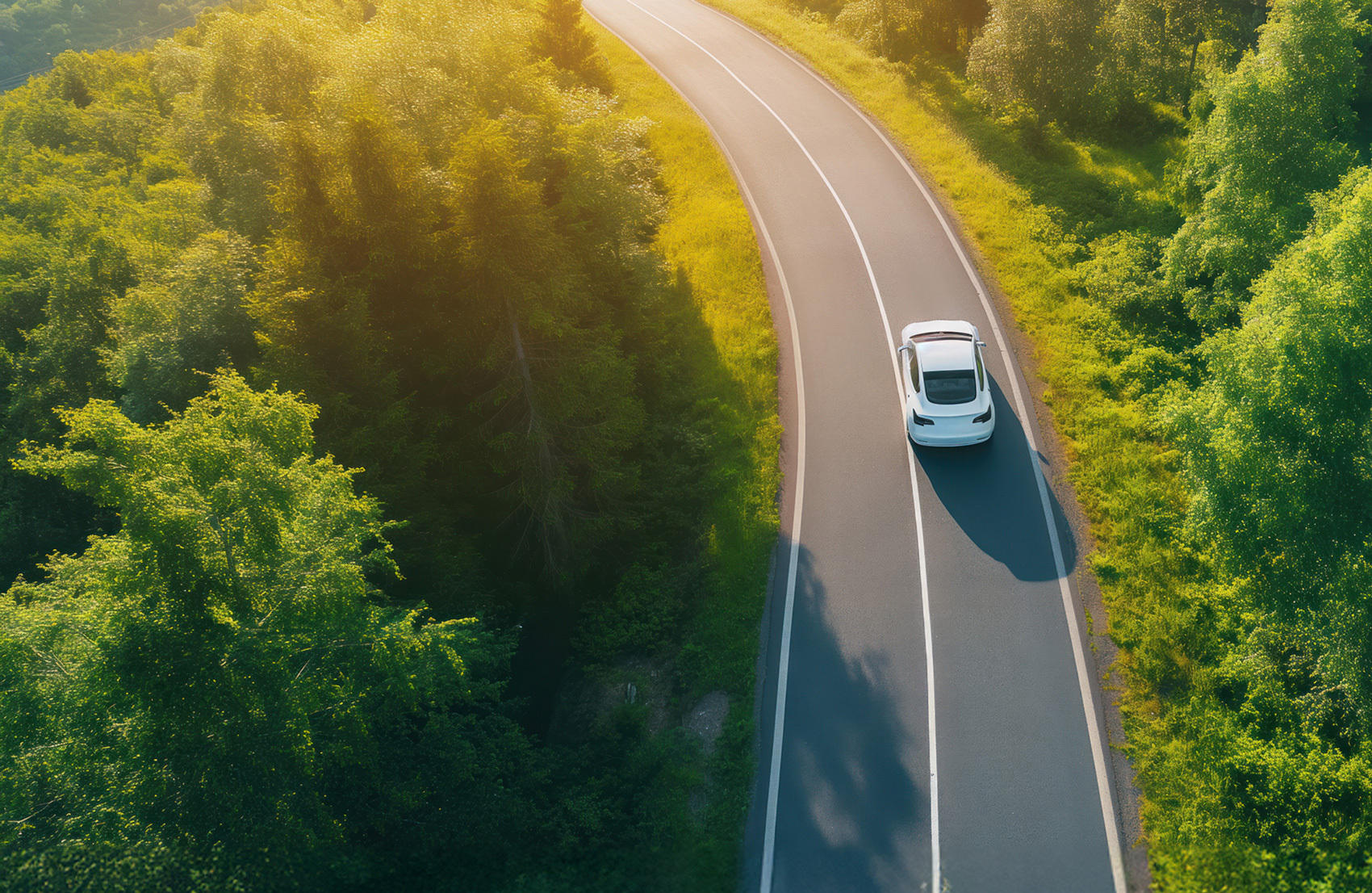 A white car driving on a winding road surrounded by lush green trees in bright sunlight.