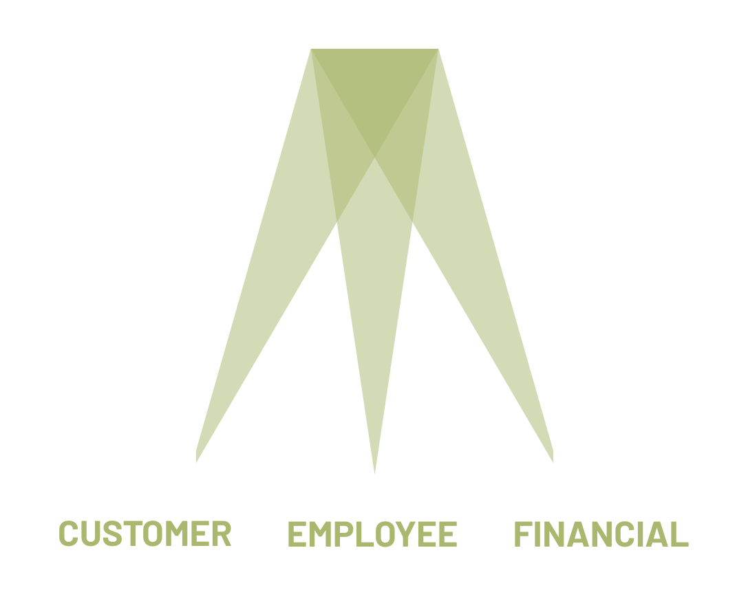 Abstract green arrow pointing downward above three words: CUSTOMER, EMPLOYEE, and FINANCIAL, representing key business focus areas.